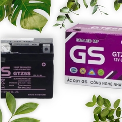 Bình điện xe máy GS TÍM