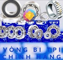 BI TPI 6301 ZZ C3 (MCN)/5K
