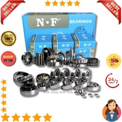 BI 6004NF
