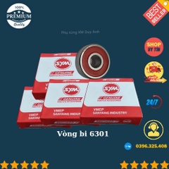 Bi 6301SYM
