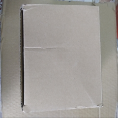 Củ đề SUSMART(LILI)