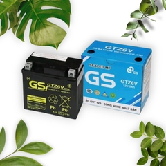 Bình điện GS 6V