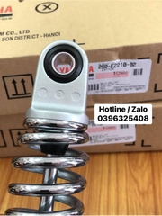 Cụm giảm xóc sau(Bạc 791)