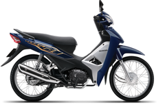 Bộ ốp sườn phải *PB421*