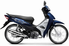 Bộ ốp sườn trái *PB421*