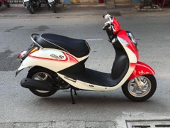 Combo Xy lanh , Piston , Séc măng , Xuppap , Gioăng Elite 50cc