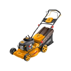 Máy cắt cỏ đẩy tay chạy xăng 4.8HP INGCO GLM196201