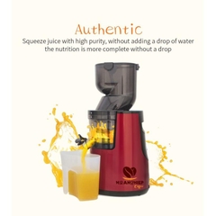 Máy Ép Trái Cây Chậm Casalano 250