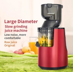 Máy Ép Trái Cây Chậm Casalano 250