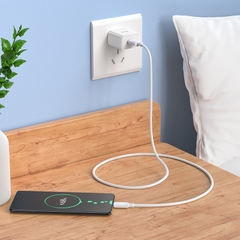 [SE28.5]BỘ SẠC VÀ CÁP (MICRO) HOCO C106 - 2.1A