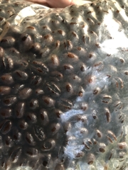 1kg Cafe Hạt Nguyên chất Culi