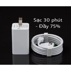 Bộ Sạc Nhanh OPPO VOOC AK779 5V 4A Hàng Cực Chất