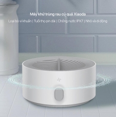 Máy rửa khử trùng rau củ quả Xiaoda HD-ZNGSQXJ01