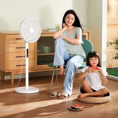 Quạt cây Bear (có điều khiển )