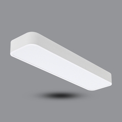 ĐÈN LED GẮN NỔI HOẶC TREO TRẦN PPBA24L6015
