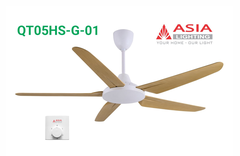 Quạt trần hộp số cao cấp QT05HS-G-01 - Gỗ phong cách