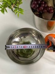 Bát Inox 2 lớp Hàn Quốc (11cm, 13cm, 14cm, 16cm, 18cm, 20cm)