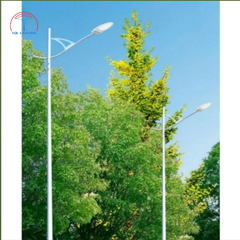 Đèn đường Led TQL - SLSMD06 công suất 50W/250W