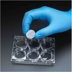 100 chiếc/hộp-Lam kính tròn, cho đĩa nuôi cấy tế bào 6- 48 giếng, Biosharp