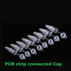 0.2ml PCR 8- Strip nắp phẳng liền ống, hộp 125 Strip, hãng Fcombio-USA