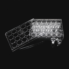 Insert cho đĩa nuôi cấy tế bào 24 giếng, chất liệu PC (Inserts in 24-well plates) Labselect