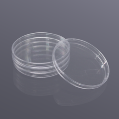 10 chiếc Petri nhựa 150x15mm tiệt trùng (Petri Dish), mã BS-150-D, hãng Biosharp, có VAT