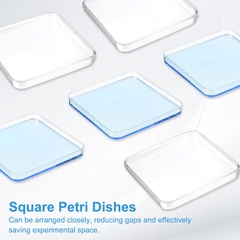 Đĩa petri vuông 100mm,150mm, 250mm, chất liệu PS, Petri dish Vô trùng, hãng Fcombio-USA