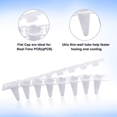 Ống PCR  Strip 0.1ml-0.2ml, nắp phẳng+vòm, 125 strip/hộp ( 8-Strip PCR Tubes), Hãng: Biologix- USA