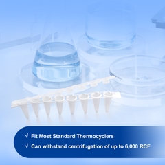 Ống PCR  Strip 0.1ml-0.2ml, nắp phẳng+vòm, 125 strip/hộp ( 8-Strip PCR Tubes), Hãng: Biologix- USA