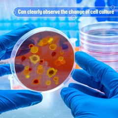 Đĩa petri 120mm, 150mm chất liệu PS, Petri dish Vô trùng, hãng Fcombio-USA