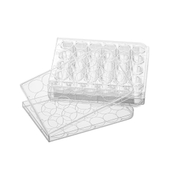 Đĩa/Phiến nuôi cấy tế bào đáy bằng 6-96 well tiệt trùng 1chiếc/túi TC-treated Labselect