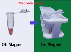 Giá từ để tinh chế DNA/RNA 8 vị trí cho ống 5/10/15/50mL (Magnetic Stand), hãng Biosharp