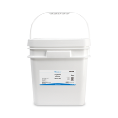 Tryptone; Animal Tissue Peptone; Peptone; Pancreatic, chai 5kg, mã BS212, hãng Biosharp
