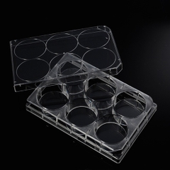 Phiến nuôi cấy tế bào 6 giếng, tiệt trùng 1 cái/túi (Cell Culture Plates), mã 07-6006, Biologix-USA