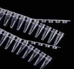 0.2ml PCR 8- Strip, 125 Strip/hộp, Nắp phẳng/nắp vòm, ống trong-ống đục, hãng Fcombio-USA