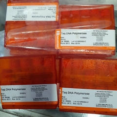 Taq DNA Polymerase, 5u/ul, hộp (5x200U), B0089, hãng BioBasic-Canada