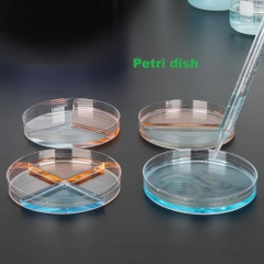 Đĩa petri 90*15mm, 2 ngăn/3 ngăn/4 ngăn, chất liệu PS, Petri dish Vô trùng, hãng Fcombio
