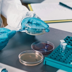 Đĩa petri 120mm, 150mm chất liệu PS, Petri dish Vô trùng, hãng Fcombio-USA