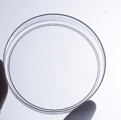 Đĩa RODAC/Đĩa nuôi cấy 65x15mm vô trùng túi 10 chiếc (Contact Plate), BS-65-SD, hãng Biosharp