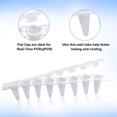 0.2ml PCR 8- Strip, 125 Strip/hộp, Nắp phẳng/nắp vòm, ống trong-ống đục, hãng Fcombio-USA