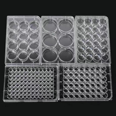 Phiến nuôi cấy tế bào 6 giếng, tiệt trùng 1 cái/túi (Cell Culture Plates), mã 07-6006, Biologix-USA