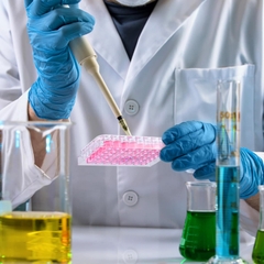 Phiến nuôi cấy tế bào 6 giếng, tiệt trùng 1 cái/túi (Cell Culture Plates) Code: 07-6006, hãng Biologix-USA