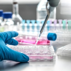 Phiến nuôi cấy tế bào 24 giếng, tiệt trùng 1 cái/túi (Cell Culture Plates), Code: 07-6024, Biologix-USA