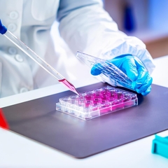 Phiến nuôi cấy tế bào 48 giếng, tiệt trùng 1 cái/túi (Cell Culture Plates), Mã: 07-6048, Biologix-USA