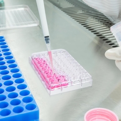 Phiến nuôi cấy tế bào 6 giếng, tiệt trùng 1 cái/túi (Cell Culture Plates) Code: 07-6006, hãng Biologix-USA