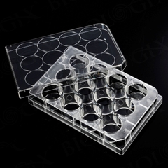Phiến nuôi cấy tế bào 12 giếng, tiệt trùng 1 cái/túi (Cell Culture Plates), mã 07-6012, Biologix-USA