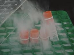 Ống Cryovials nắp vặn, -186 độ C, tiệt trùng, gói 100 cái, hãng FcomBio