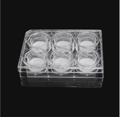 Buồng nuôi cấy tế bào 24mm, màng PC lỗ 5.0µm, 6 giếng (Cell culture chamber), LabSelect tekcovina