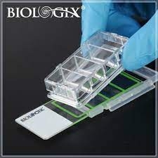 Khay nuôi cấy tế bào-Cell Culture Slides, hãng Biologix-USA