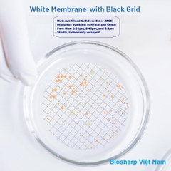(Vô trùng) Màng lọc Vi Sinh (MCE), đk 47 và 50mm/0.8μm-0.22µm-0.45μm, 100 chiếc/hộp, Biosharp